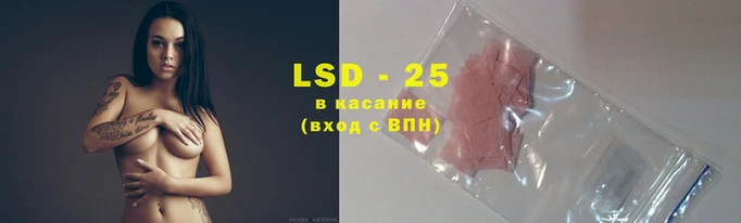 твердый Надым