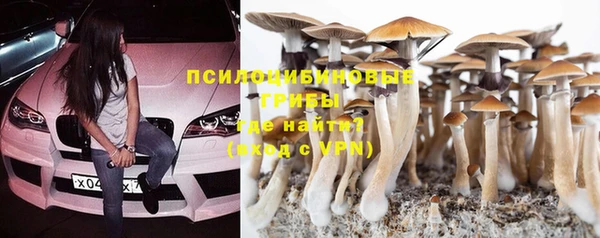 бутират Ладушкин