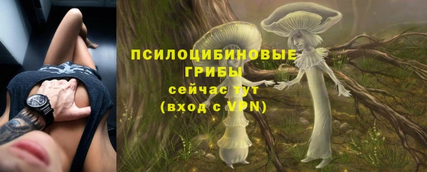 бутират Ладушкин