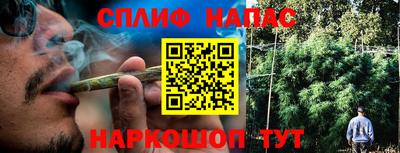 гидра Изобильный