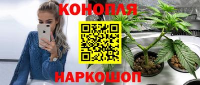 spice Ирбит