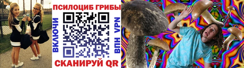 где можно купить наркотик  Псков  Псилоцибиновые грибы Psilocybine cubensis 