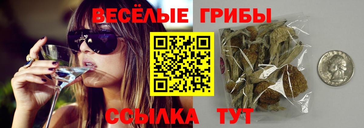 Галлюциногенные грибы MAGIC MUSHROOMS Псков