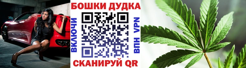 Шишки марихуана Amnesia Псков