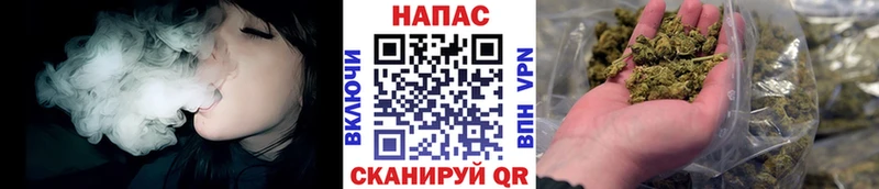наркотики  Псков  МАРИХУАНА семена 